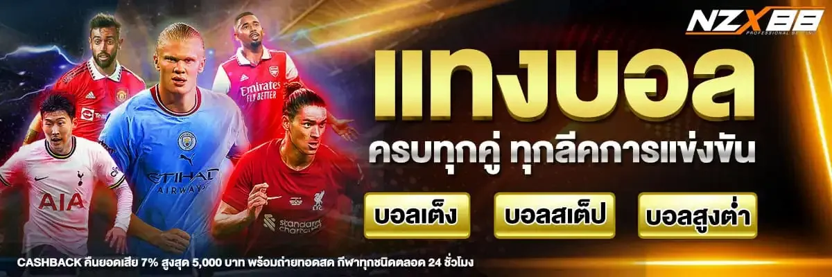 NZX88 เว็บสล็อตและคาสิโนออนไลน์ เว็บตรงอันดับ 1